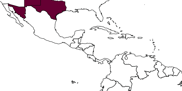 map of Pseudisobrachium krombeini     Evans, 1961